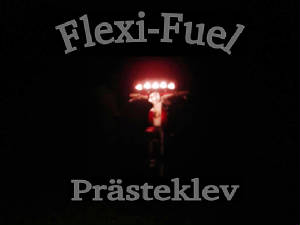 flexifuel.jpg