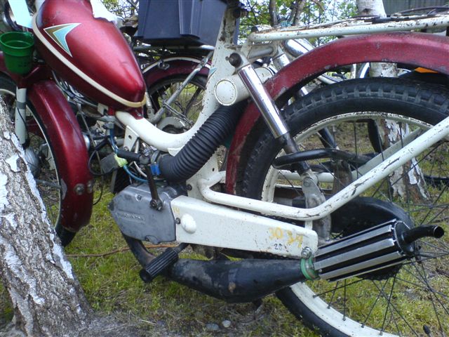 dsc00117.jpg